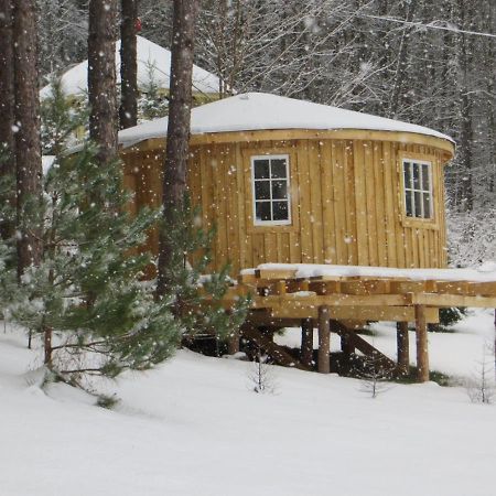 La Maison Sous Les Arbres Saint Roch de Mekinac Exterior foto